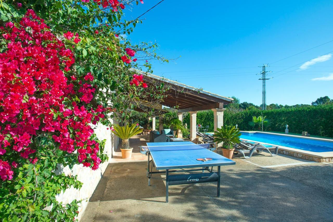 Owl Peric - Rustic With Big Pool *